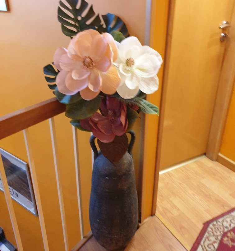 Pension Sol Mediterraneo主图