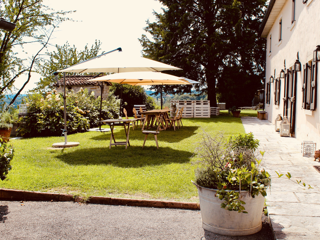 La Vigna di Sarah主图