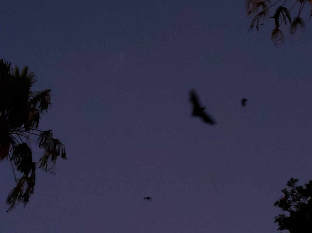 Cairns Library-凯恩斯必去景点