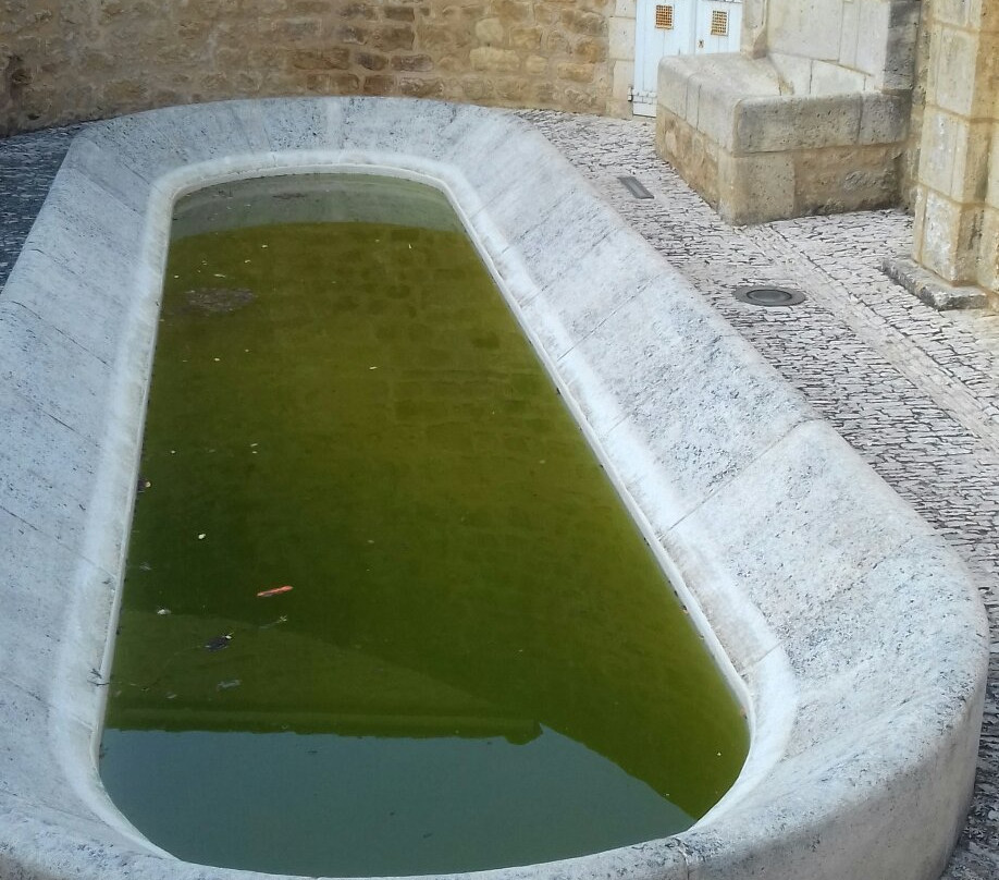 Lavoir de Domme景点图片