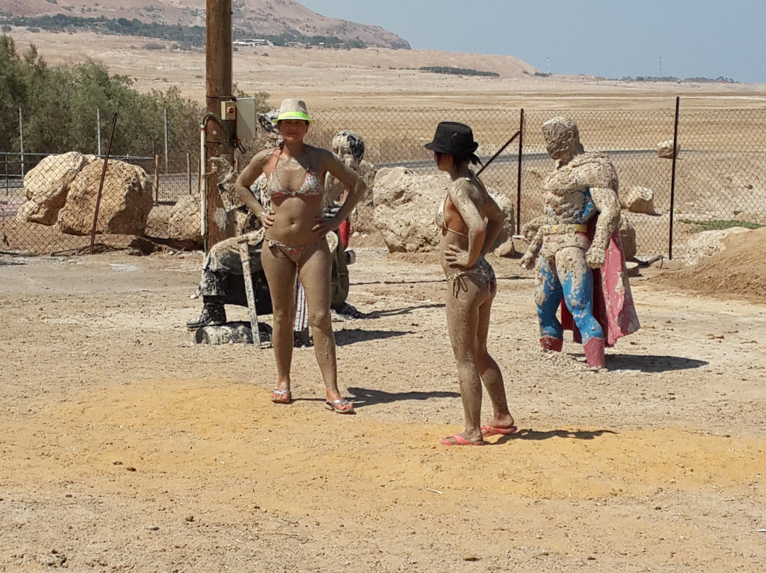 Aloni Neve Zohar Dead Sea主图