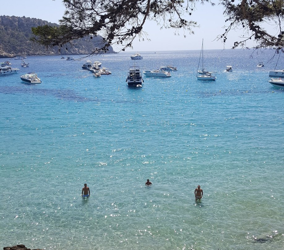 Keida Enjoy Mallorca-Sant Elm必去景点