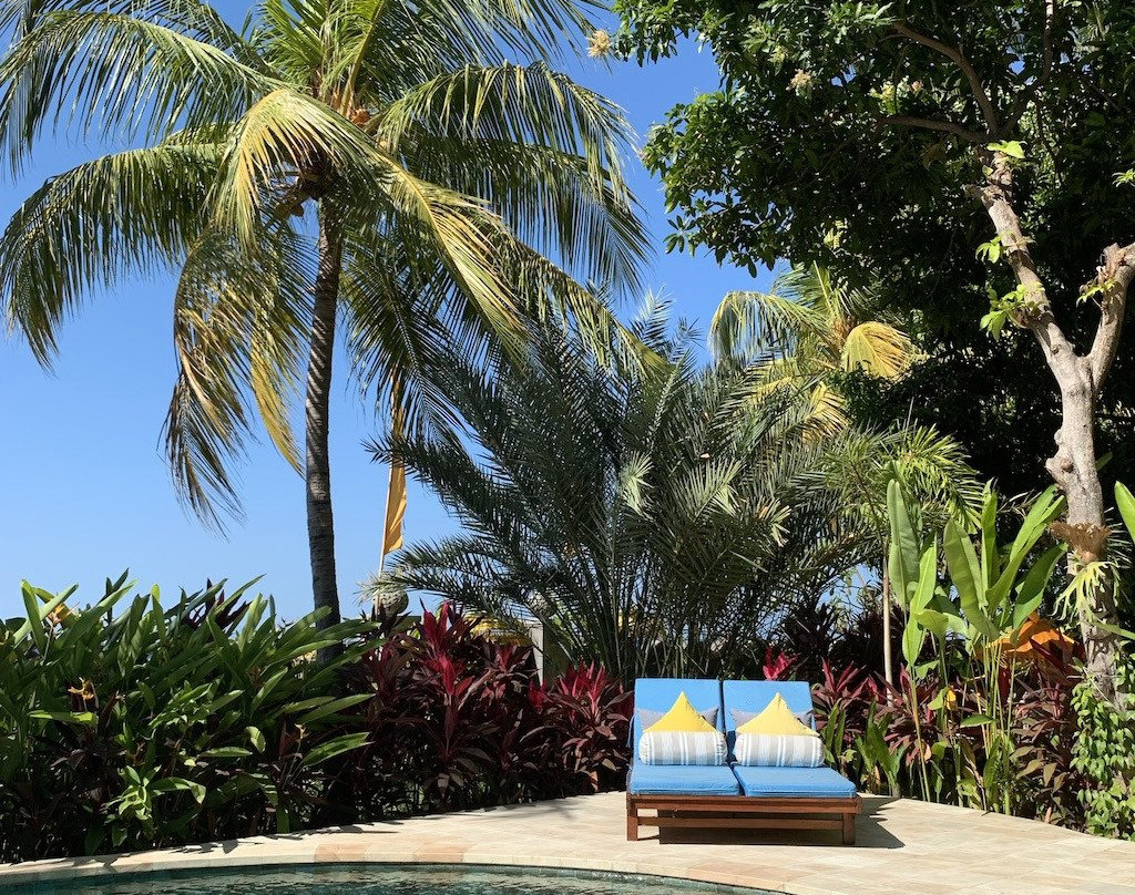 Bondalem Bliss主图