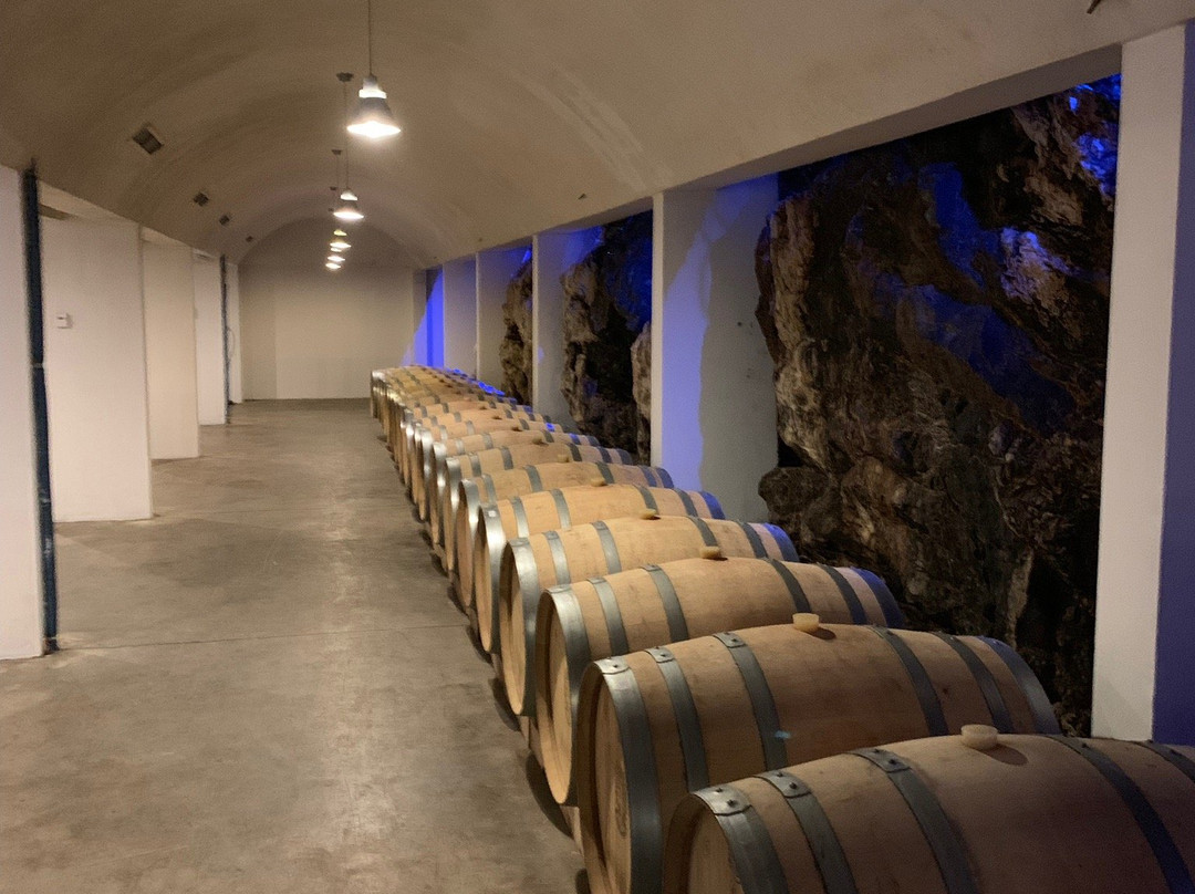 Saints Hills VINARIA景点图片