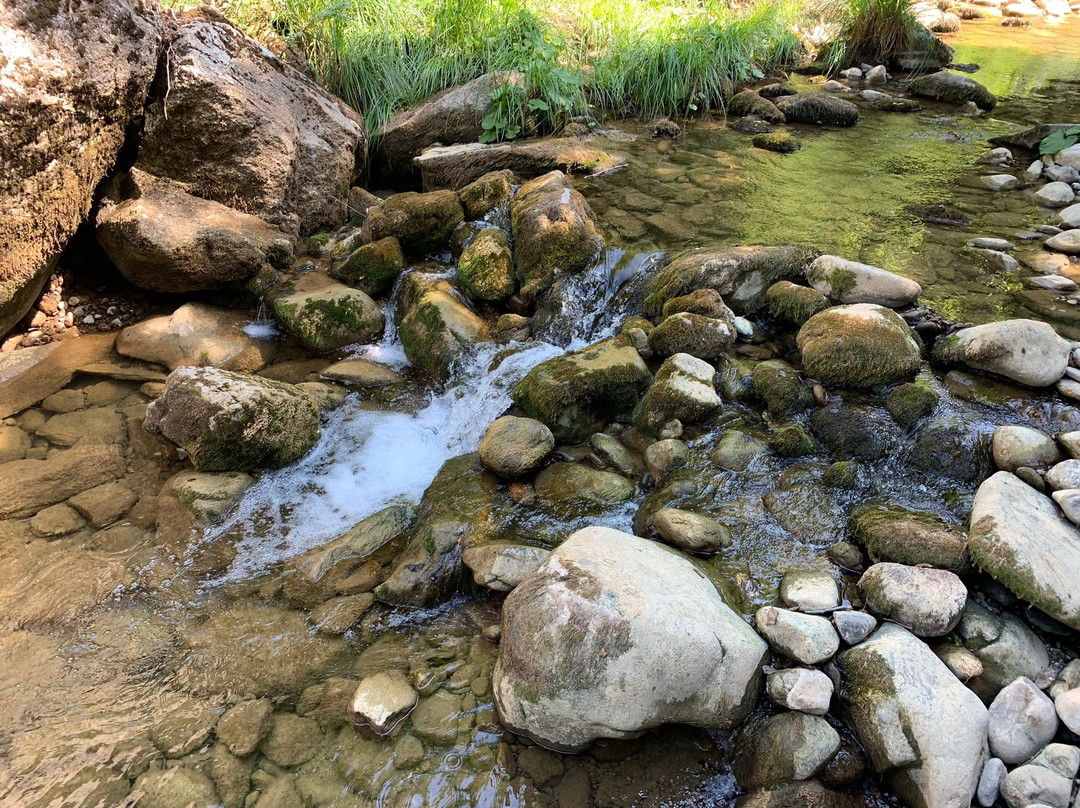 I Canaloni Del Torrente Farma-Roccastrada必去景点