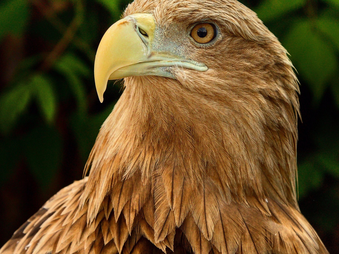 Samara Zoo-萨马拉必去景点