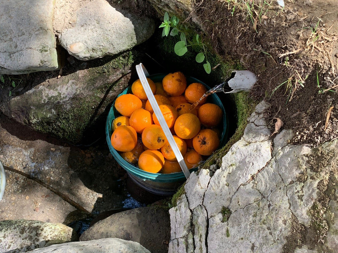 Cappadocia Travel Center - Day Tours-格雷梅必去景点