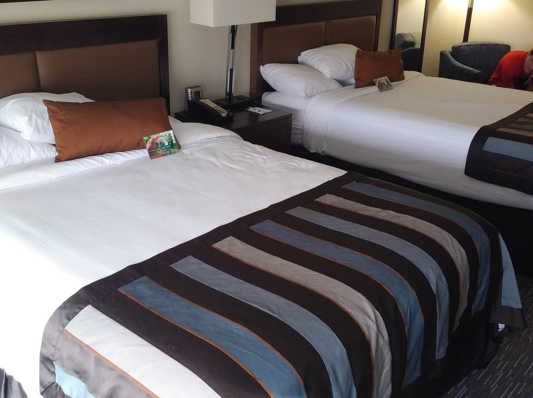 Wingate by Wyndham Chattanooga主图