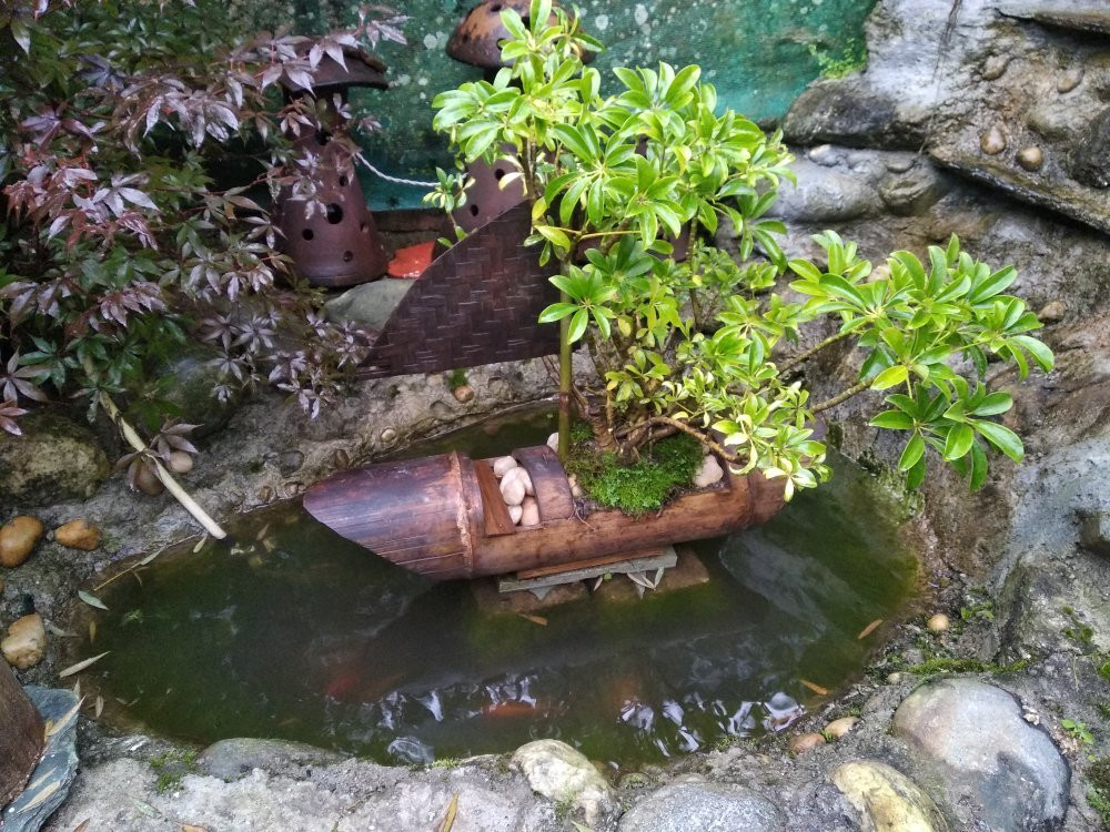 Mansarover Home Stay主图