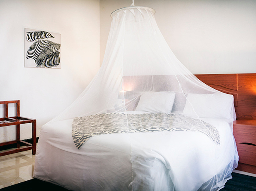 Gianpiero's Bed and Breakfast主图