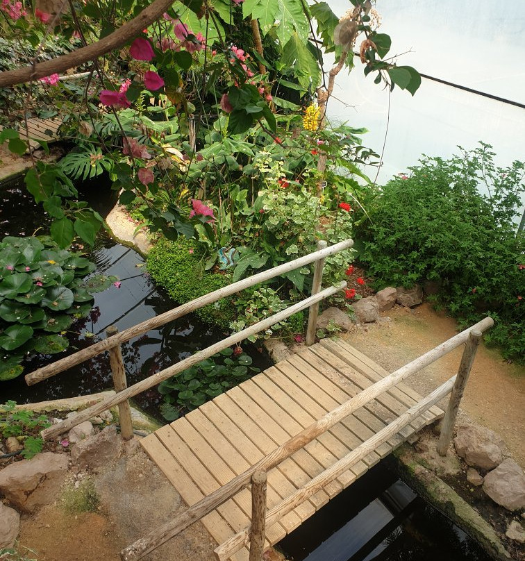 Serre Exotique Domaine du Gazania景点图片