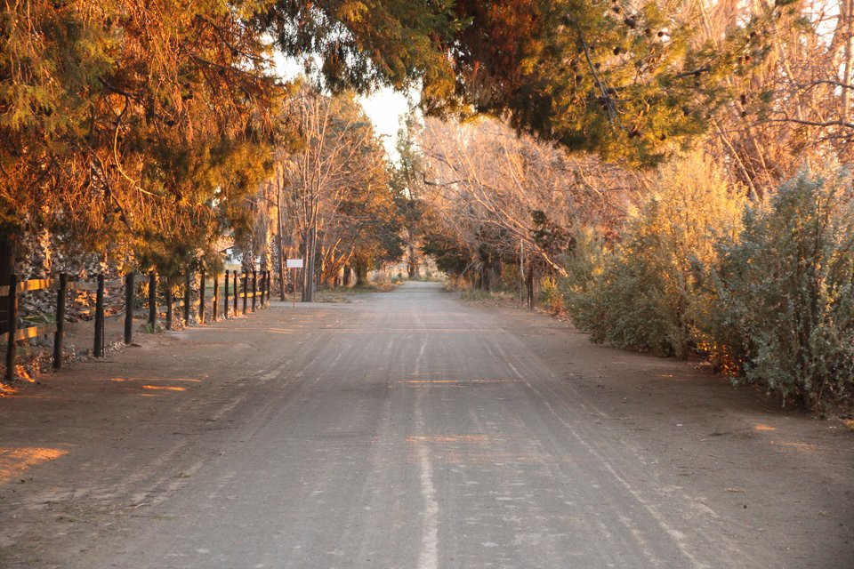 Melton Wold Guest House主图