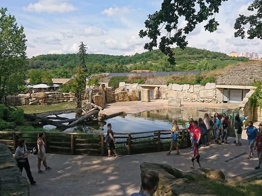 布拉格动物园景点图片