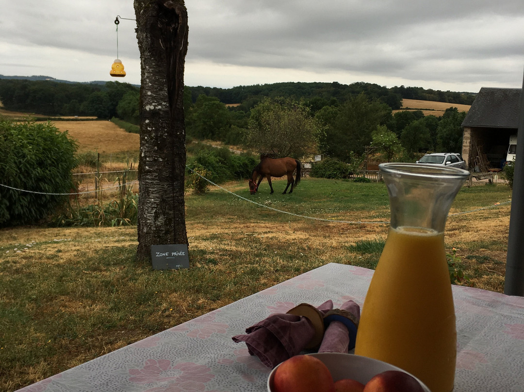 Domaine de Courcelles主图