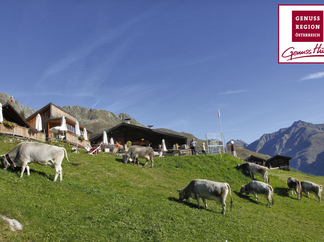 奥地利阿尔卑斯山旅游攻略图片