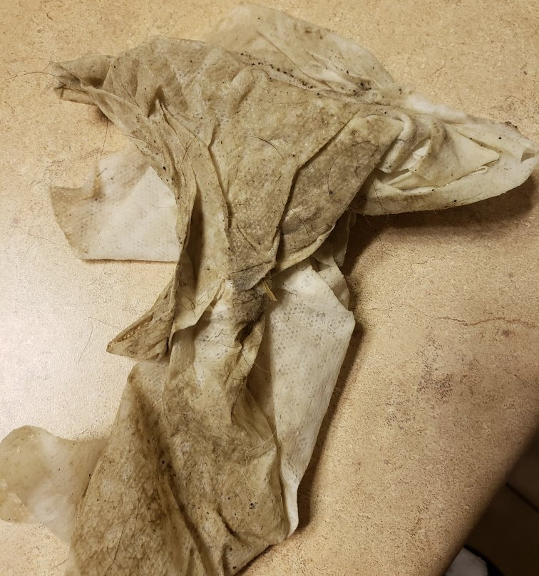 Days Inn by Wyndham Chetwynd主图