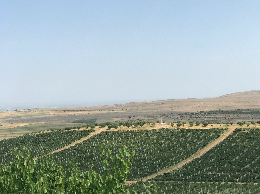 Armas Winery & Estate-Nor Yedesia必去景点