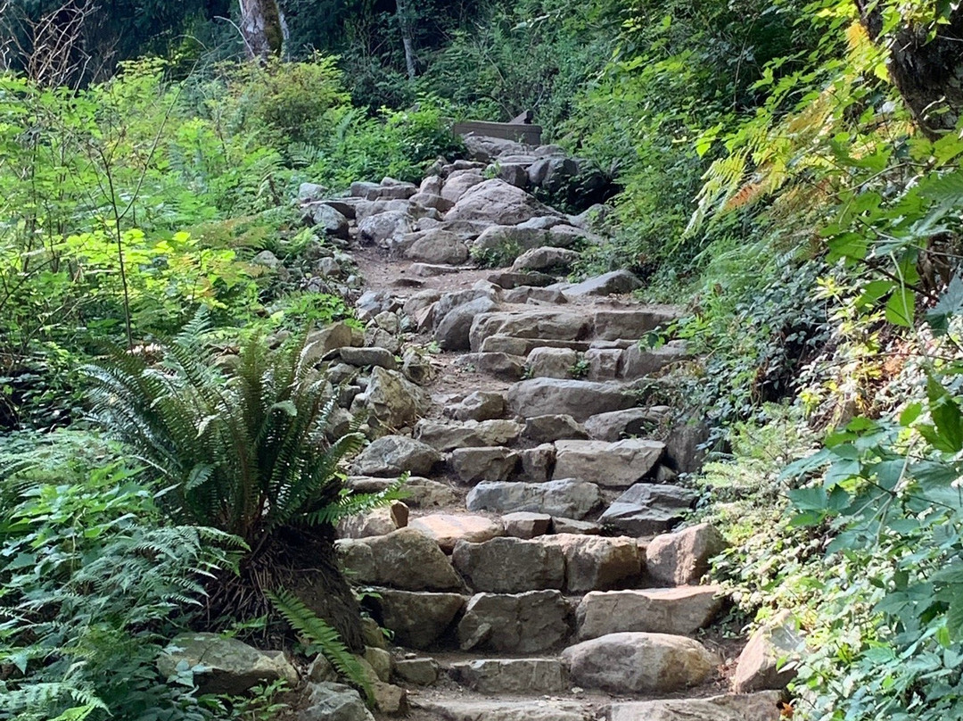Mt Si景点图片