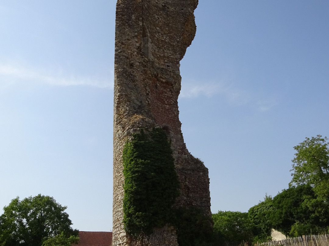 Tour de l'Epaule-Gallardon必去景点
