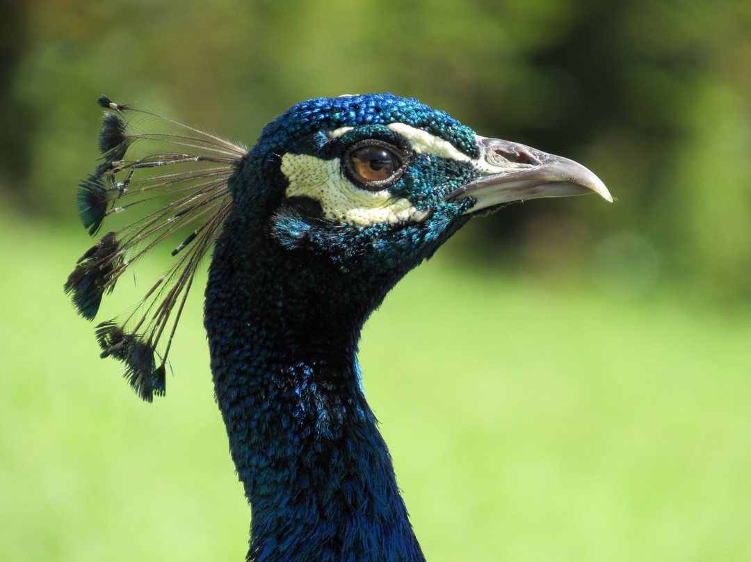 Hotel Hacienda Balandu主图