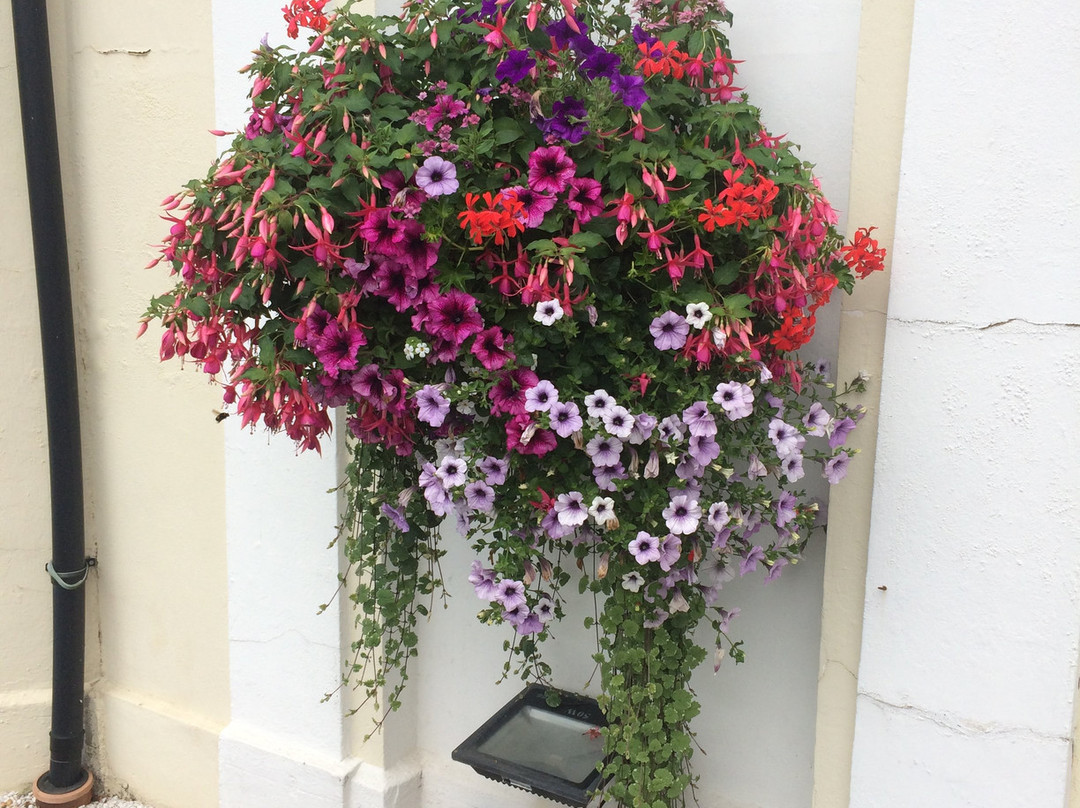 Red Kite House Hotel主图