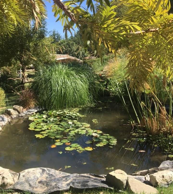 Rapel Lake-Las Cabras必去景点