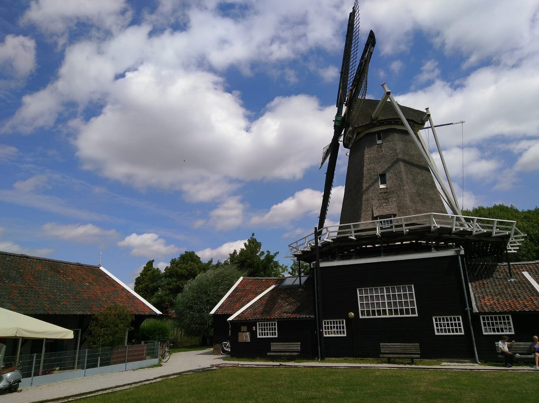 Houtzaagmolen De Ster-乌特勒支必去景点