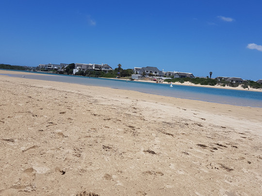 Orange Beach Private Family Dolphin Tours & Boating Safaris-橙色海湾必去景点