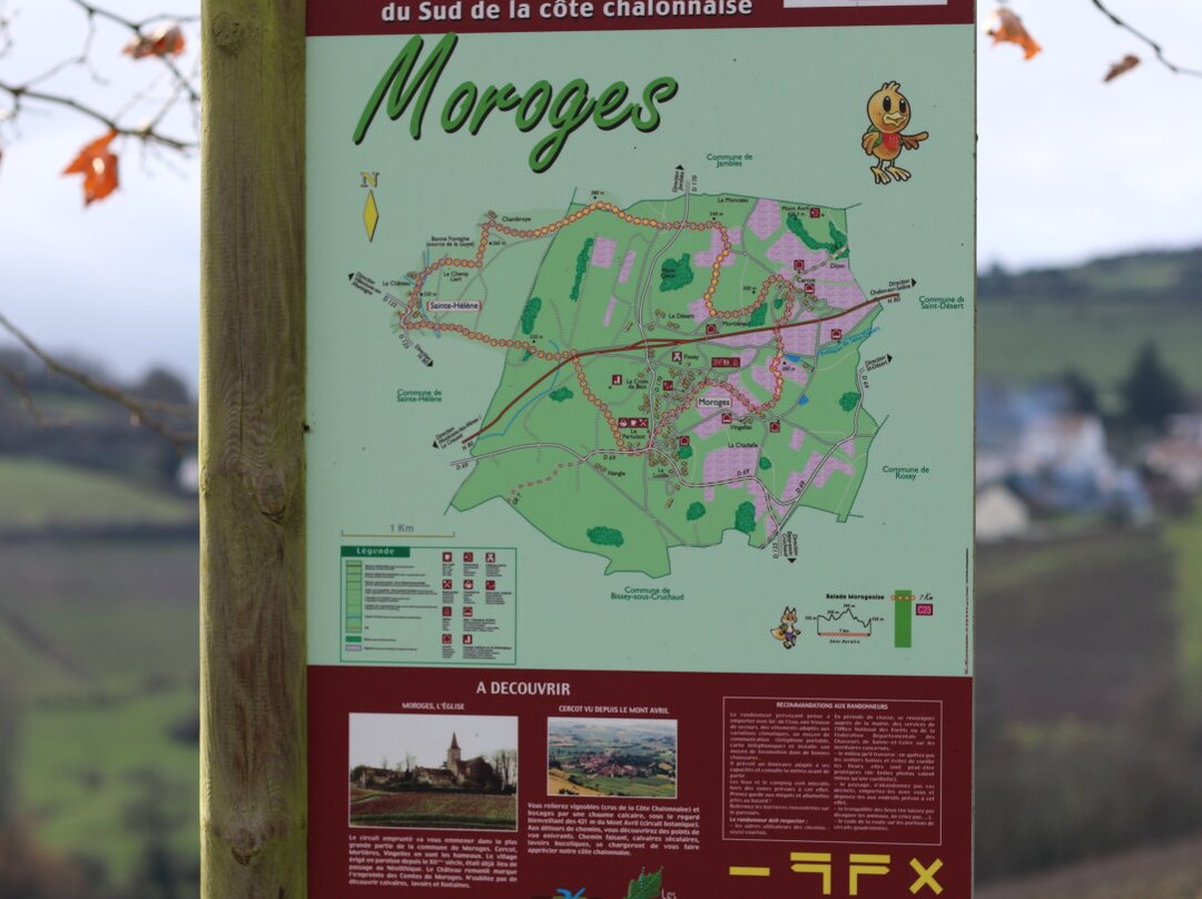 Borne Fontaine De Chamilly À Moroges