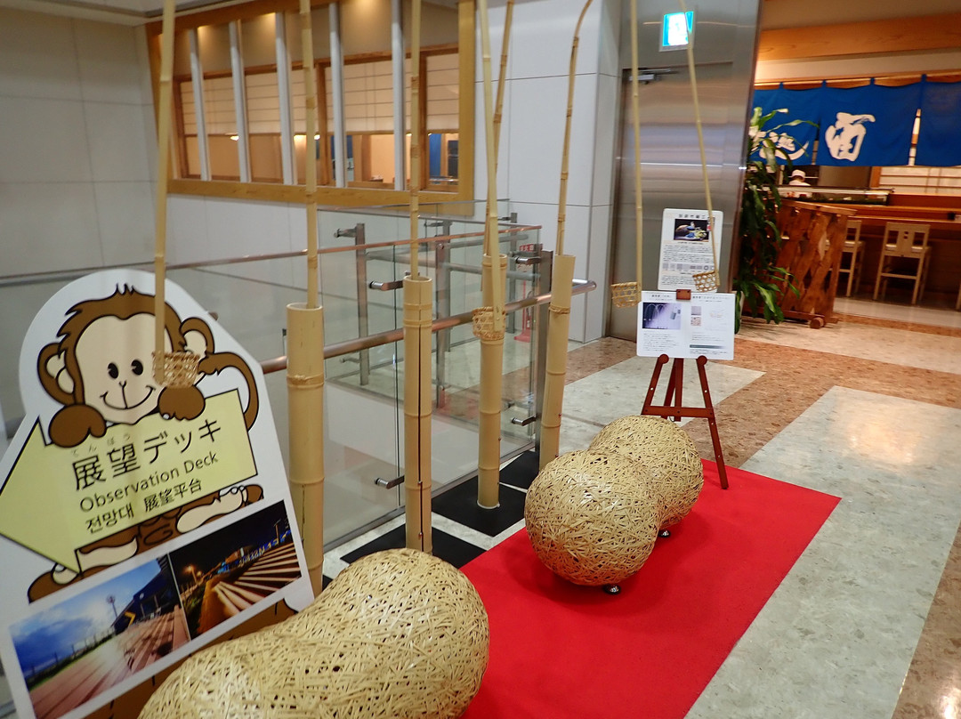 Oita Airport Observation Deck-国东市必去景点