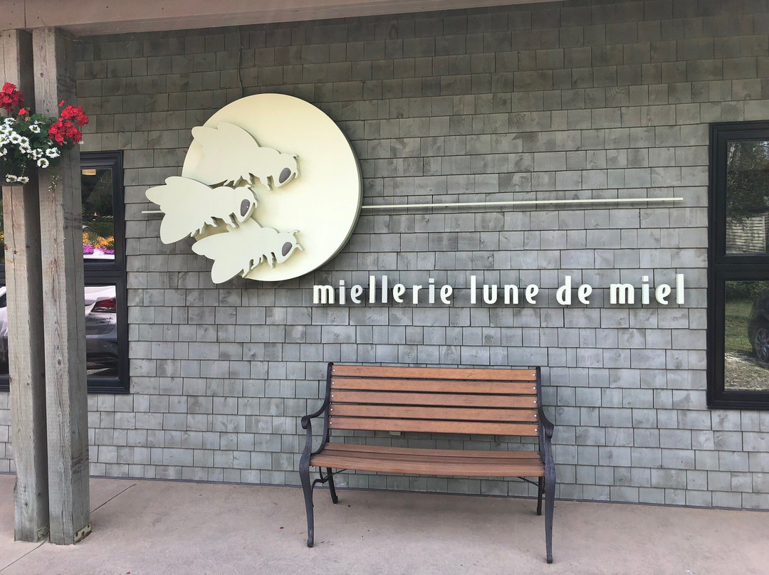 Miellerie Lune de Miel-Stoke必去景点