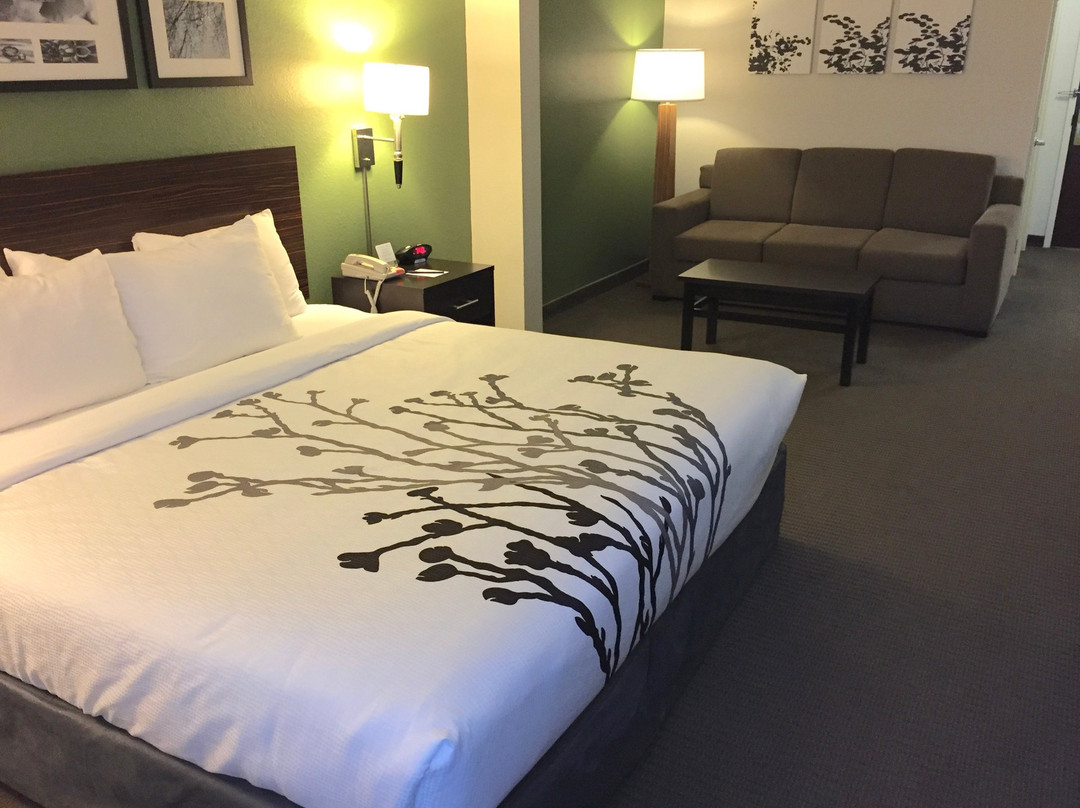 Sleep Inn & Suites Danville Hwy 58主图