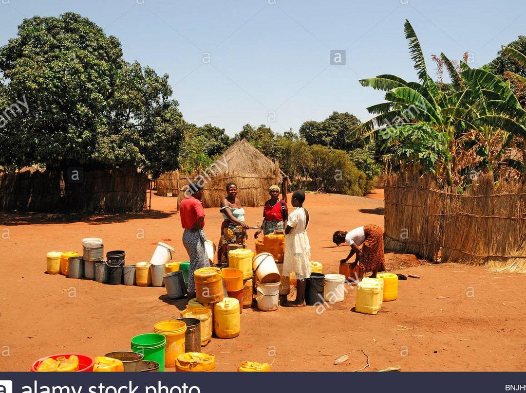 Shepherd Taxi and Tours-李文斯顿必去景点