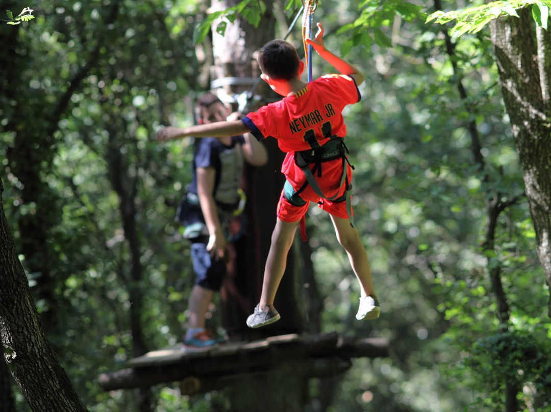 Vert'tige Aventure景点图片