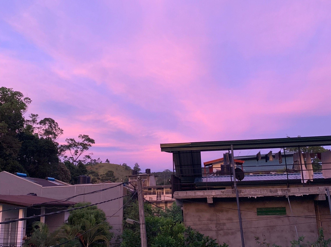 艾拉摇滚旅馆主图