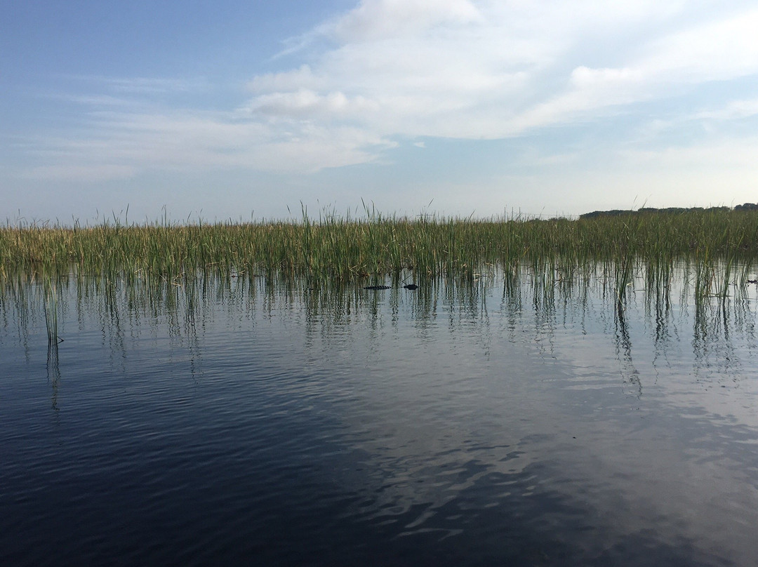 Alligator Tours-哈伦代尔海滩必去景点