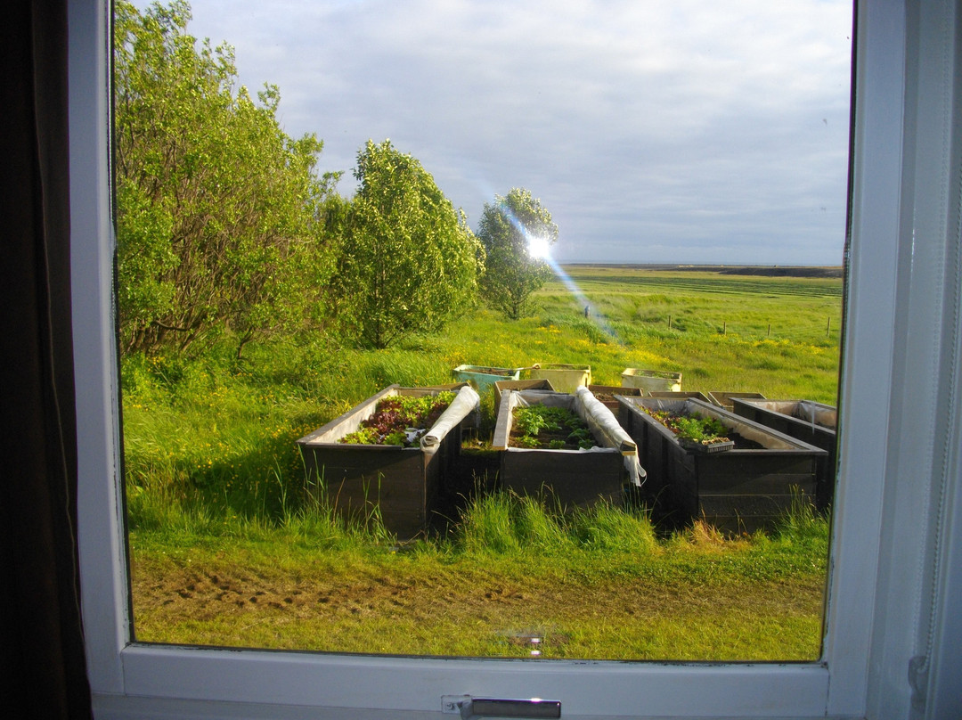 Solheimahjaleiga Guesthouse主图