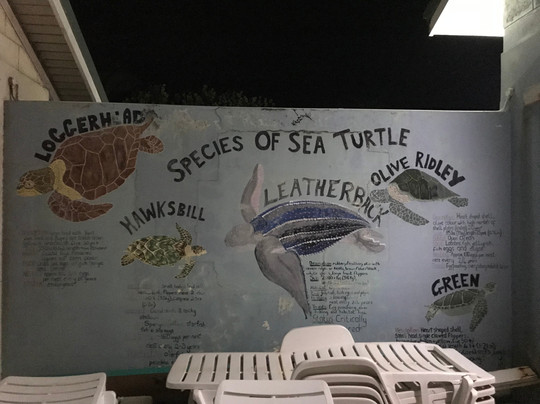 SPECTO-圣派屈克必去景点