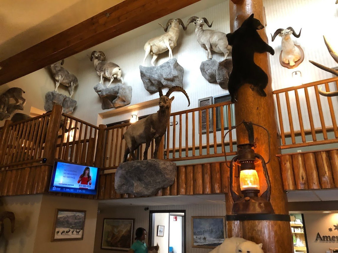 AmericInn by Wyndham Cody主图