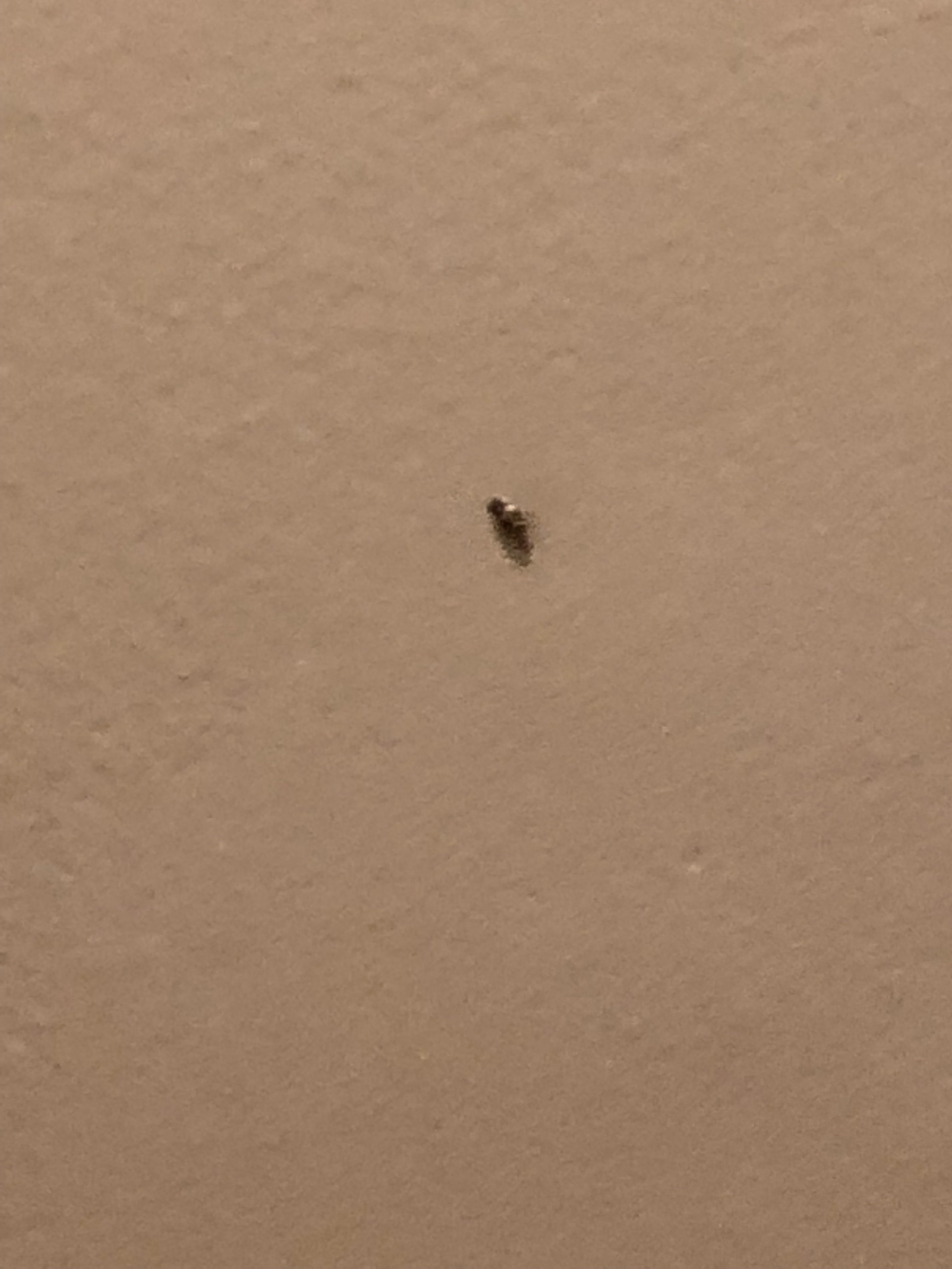 The White Sands Oceanfront Resort & Spa-portrait