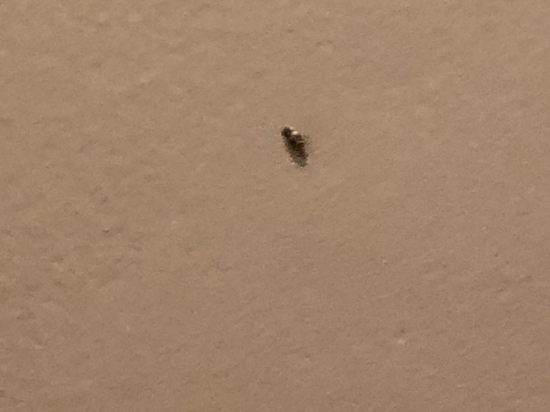 The White Sands Oceanfront Resort & Spa主图