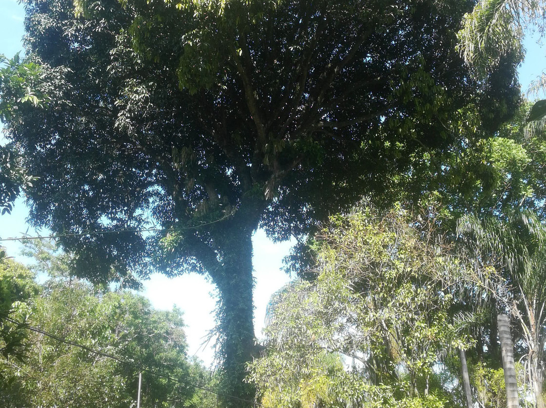 Cafetalera San Felipe-Cordoba必去景点