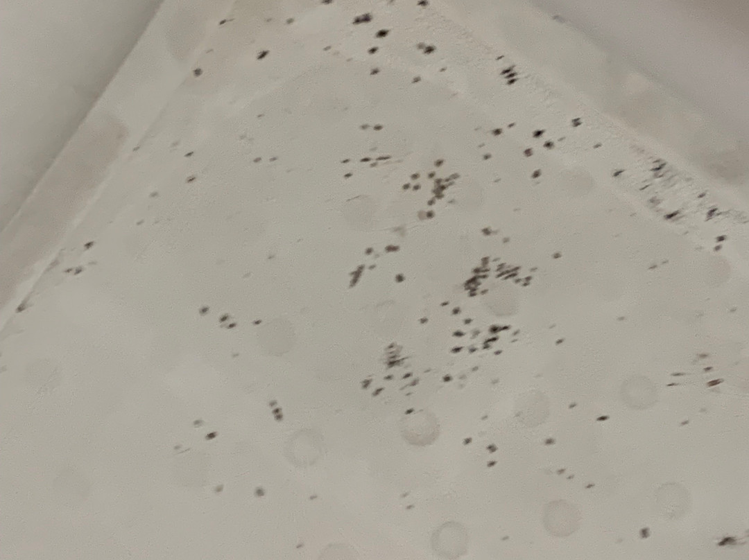 Dunes Inn & Suites主图