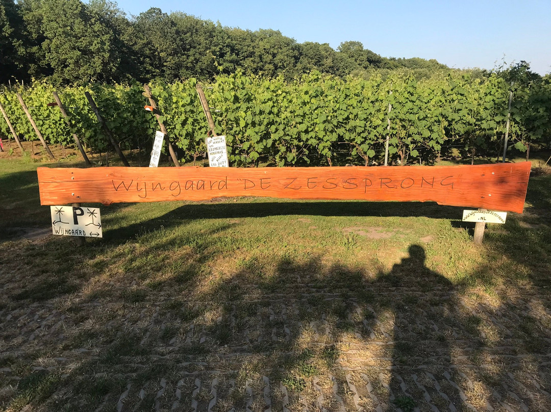 Wijngaard de Zessprong-Joppe必去景点