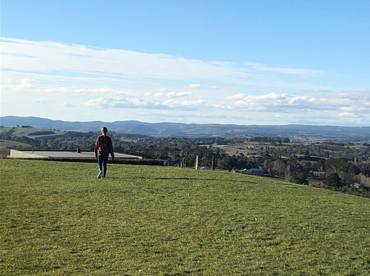 Borrodell Vineyard主图