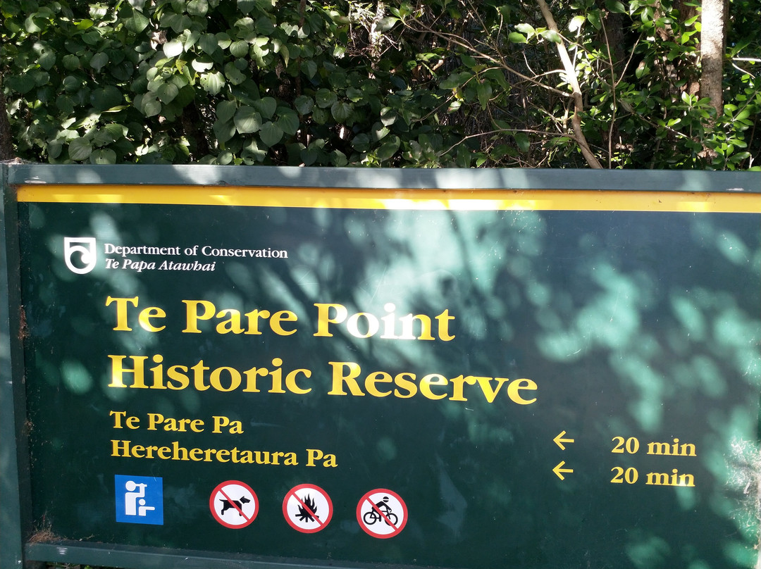 Te Pare Historic Reserve景点图片