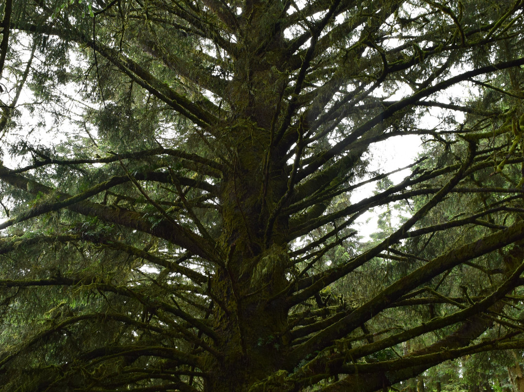 Port Orford Heads State Park-Port Orford必去景点