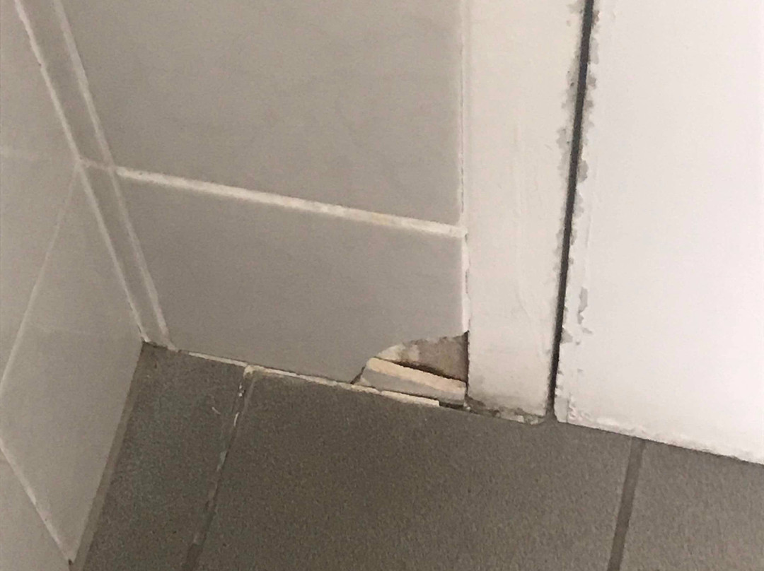 奥罗拉亚里斯泉酒店主图