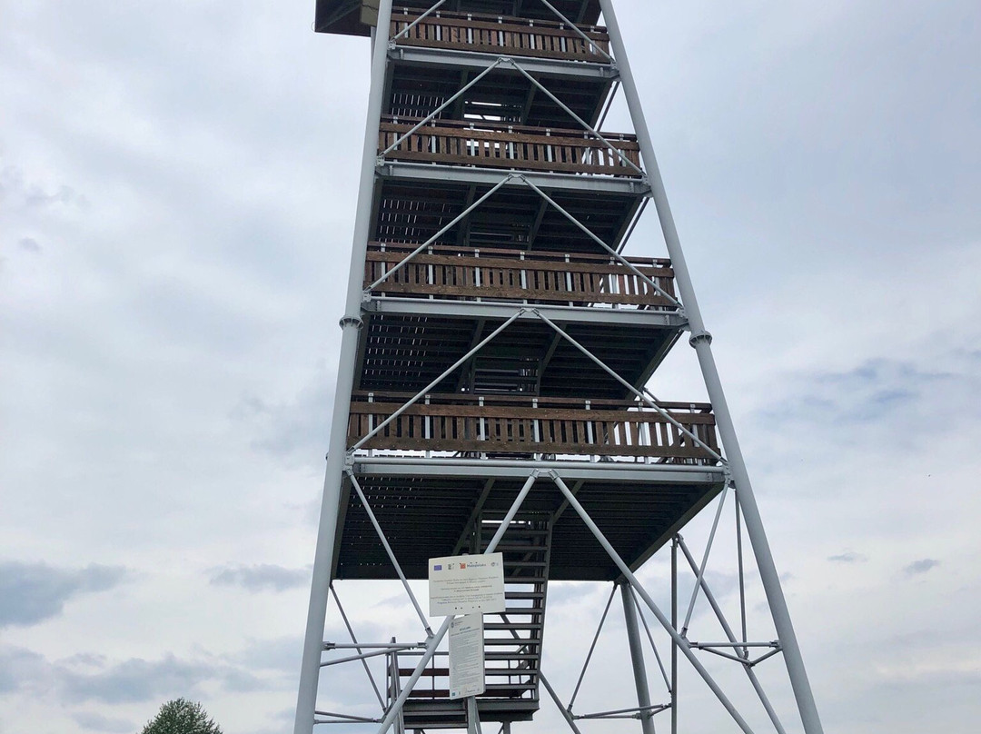 Observation Tower in Brusnik景点图片