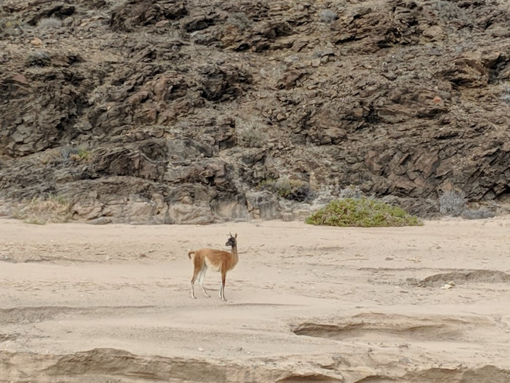 Cactus Explora-Caldera必去景点